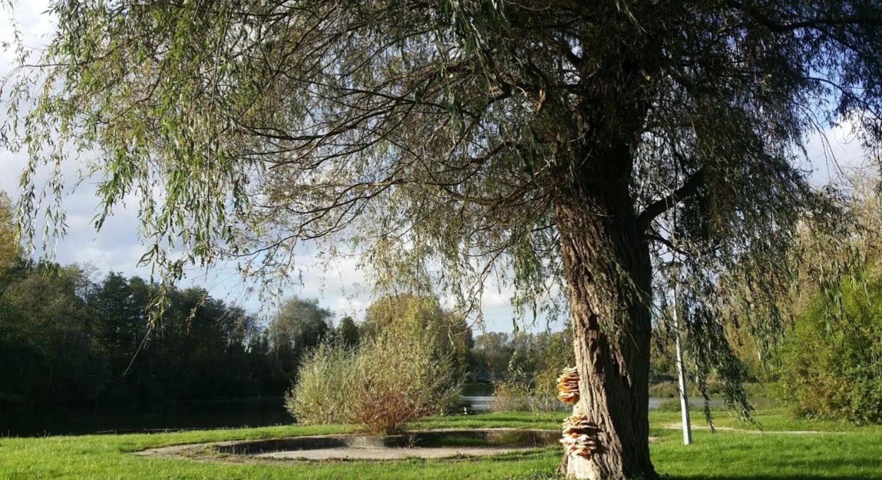 A La Vielle Halle Souppes-sur-Loing ภายนอก รูปภาพ